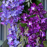 Eucalyptus and lilac front door wreath