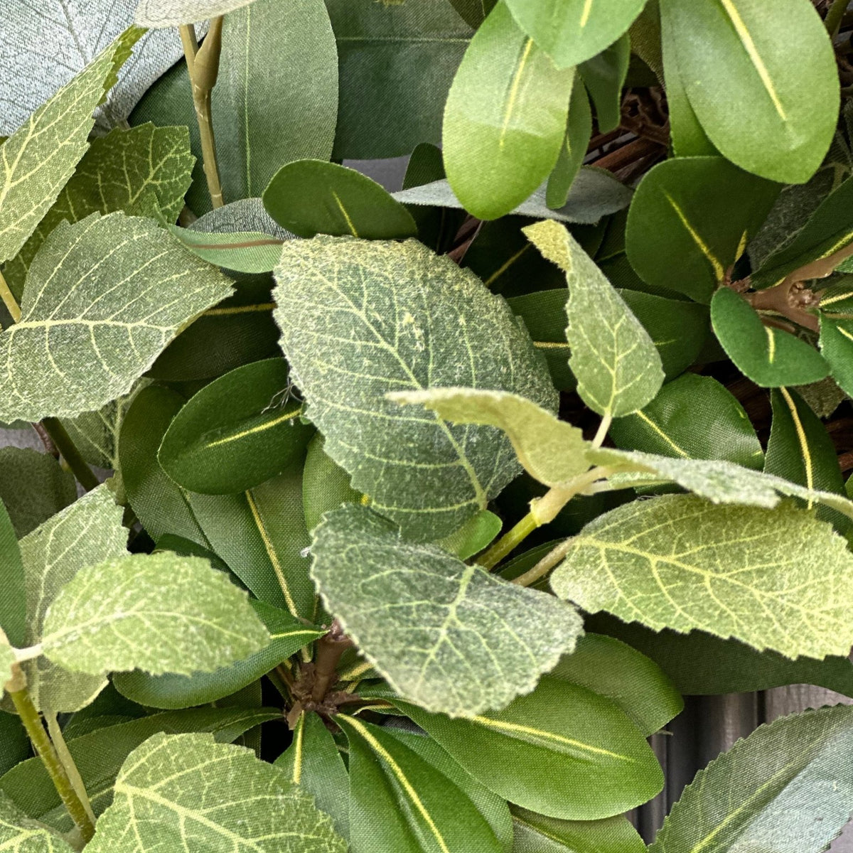 Eucalyptus greenery wreath