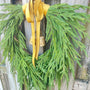 Norfolk pine front door wreath with brass bells, winter wreath, Christmas door wreath, gift for home decor lovers, perfect for winter season