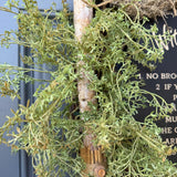 Halloween Wreath | Witch Decor | Magic | October 31 Decorations | Primitive Witch Wreath | Witch's Hat | Spooky | Leather Spell Book | BOO!