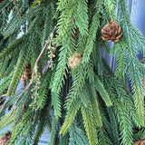 Hanukkah wreath, Chanukah wreath, Blue and gold bell wreath, norfolk pine front door wreath, All season wreath, Velvet ribbon double sided