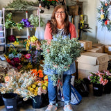 Front door winter wreath, Norfolk pine wreath, All season wreath, Housewarming gift, Farmhouse style wreath