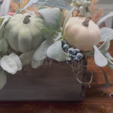 Video overview of Fall lamb’s ear and pumpkin rustic arrangement